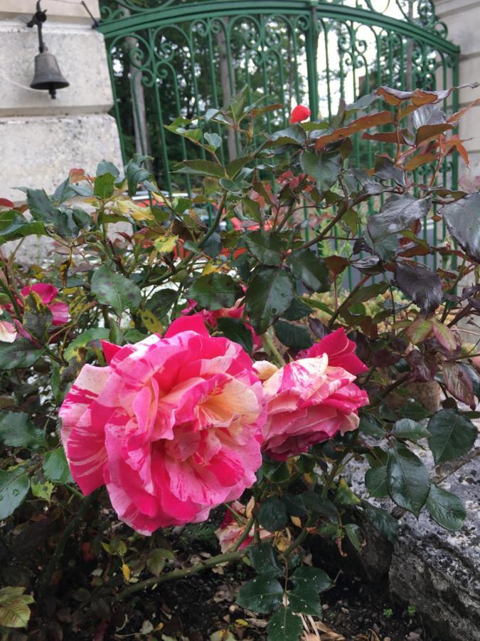 Bed and Breakfast La Valiniere Seur Экстерьер фото